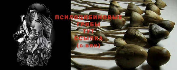 винт Каменка