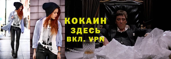 винт Каменка