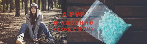 винт Каменка