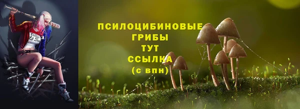 прущая мука Каменногорск